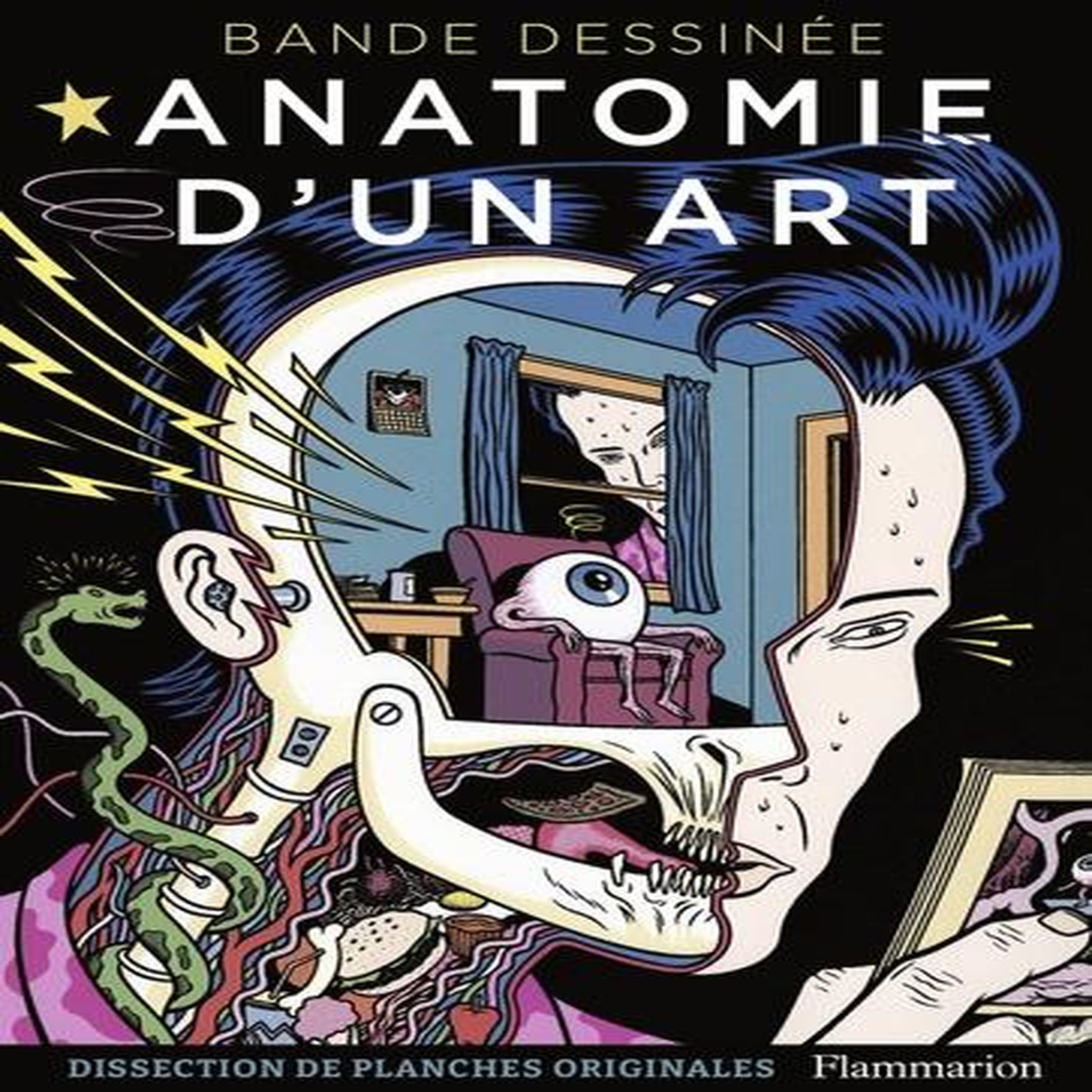 BANDE DESSINEE : ANATOMIE D'UN ART. DISSECTION DE PLANCHES ORIGINALES, MacDonald Damien