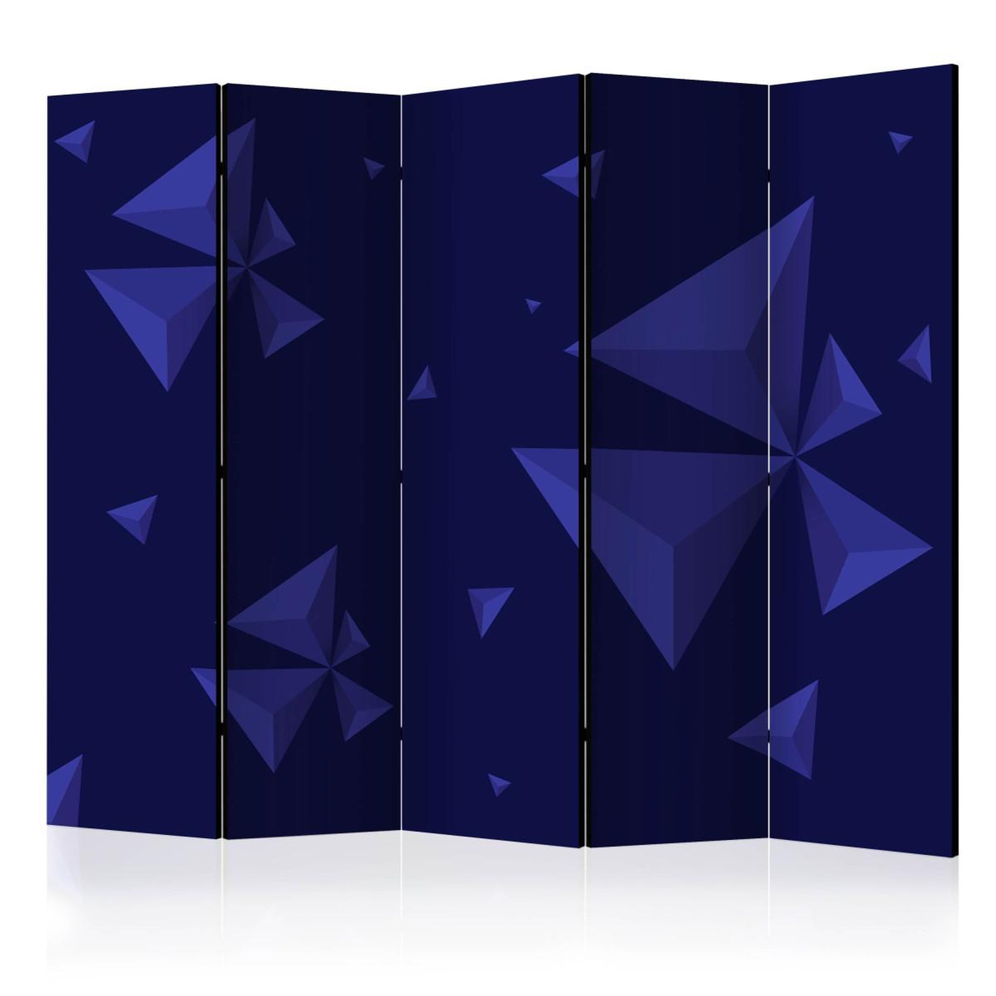 Paris Prix Paravent 5 volets  meteor shower  172x225cm