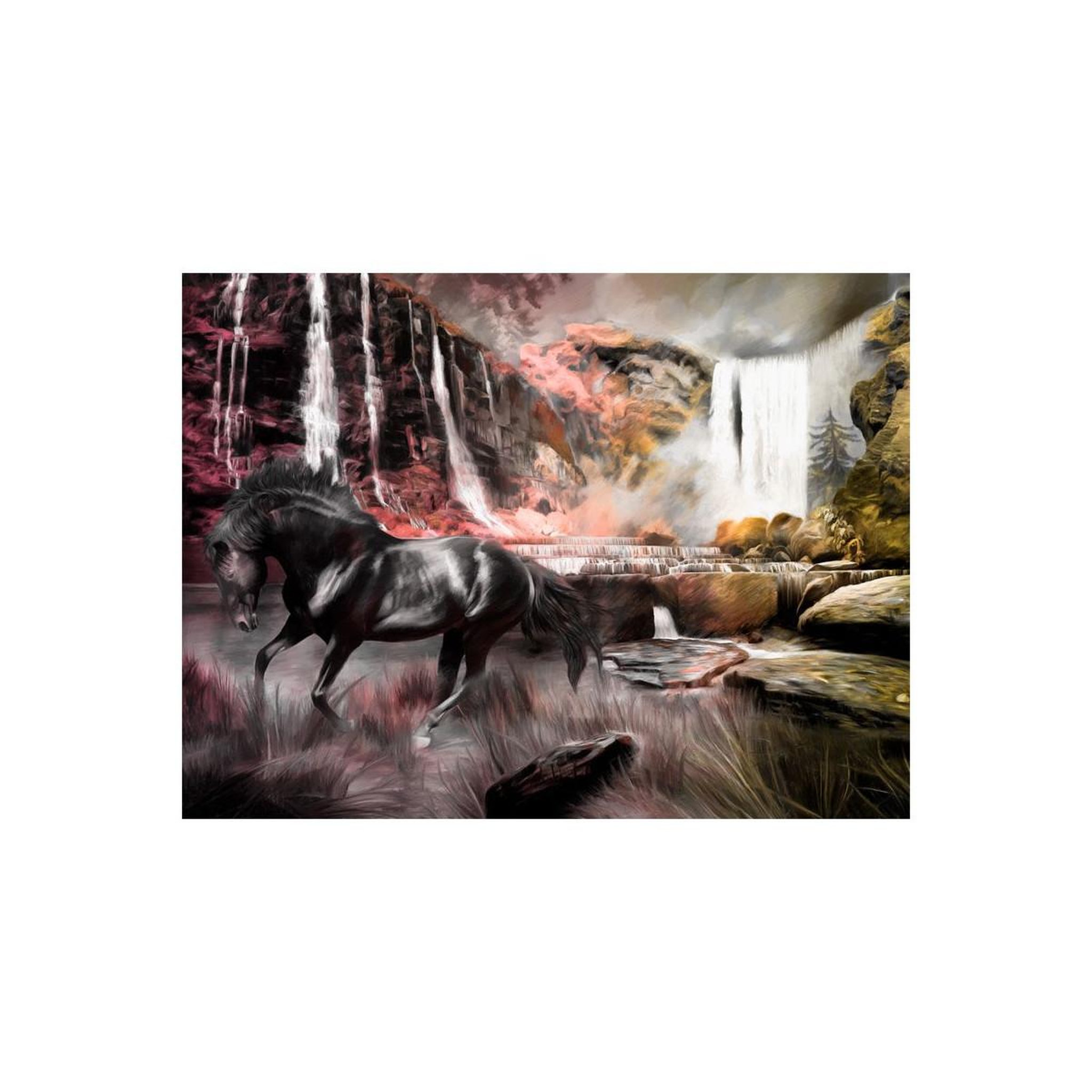 Voir la diapositive 2 : Paris Prix Papier peint  cheval noir & cascade
