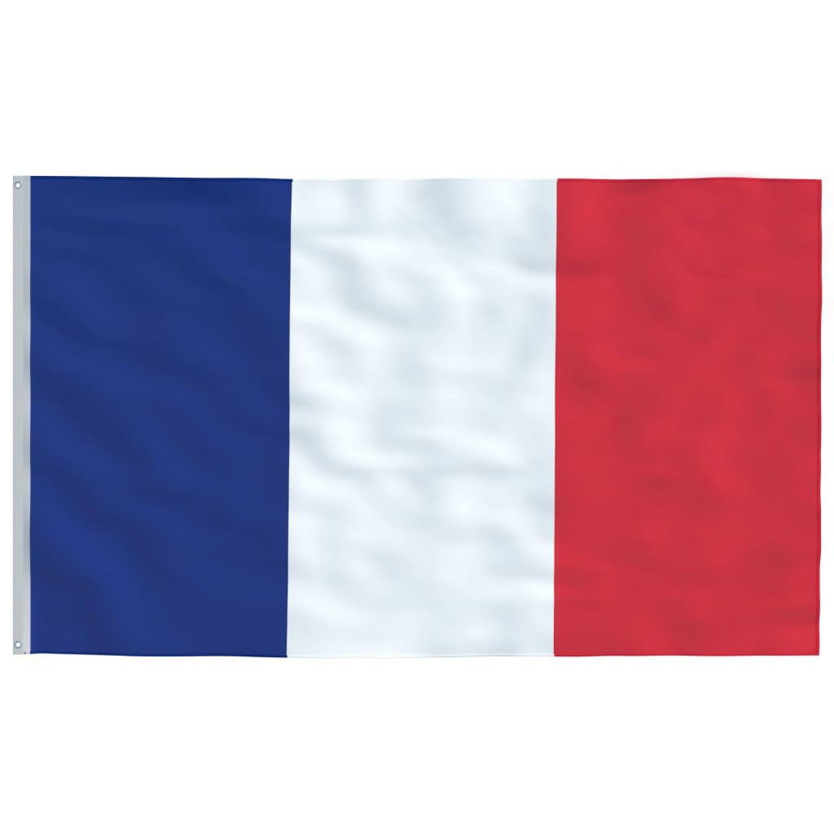 VIDAXL Drapeau de la France et mat 6,23 m Aluminium