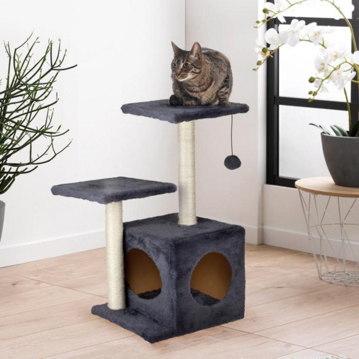 Paris Prix Arbre à Chat avec Niche  2 Plateformes  60cm Anthracite