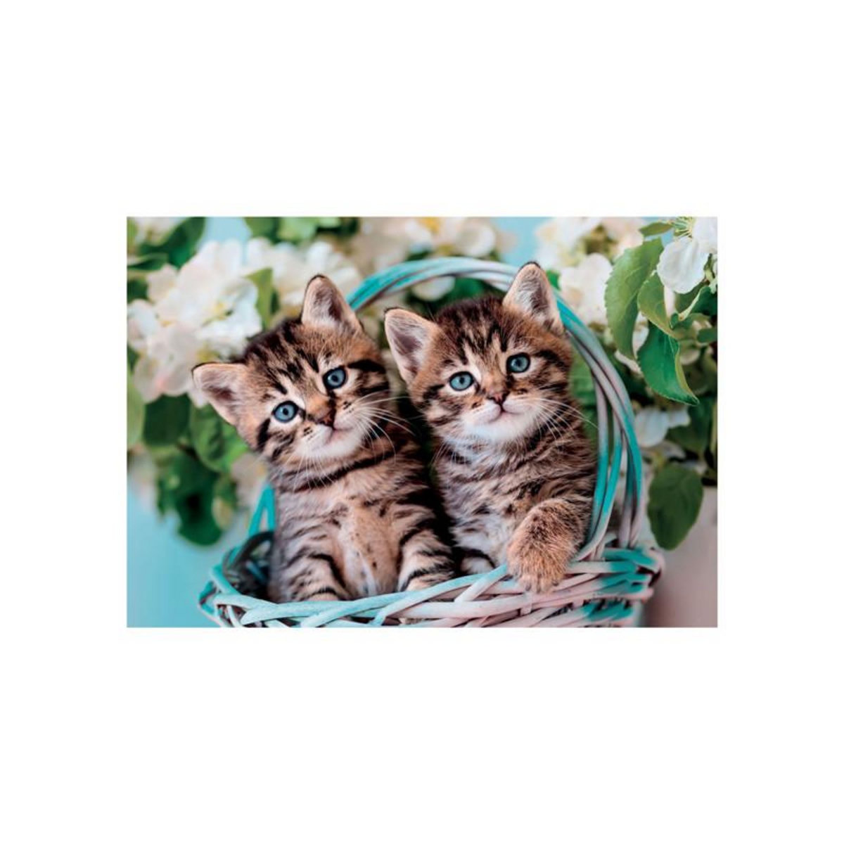CLEMENTONI Clementoni Jigsaw Puzzle Super Color Lovely Kitty Twins, 60 pcs. 26599