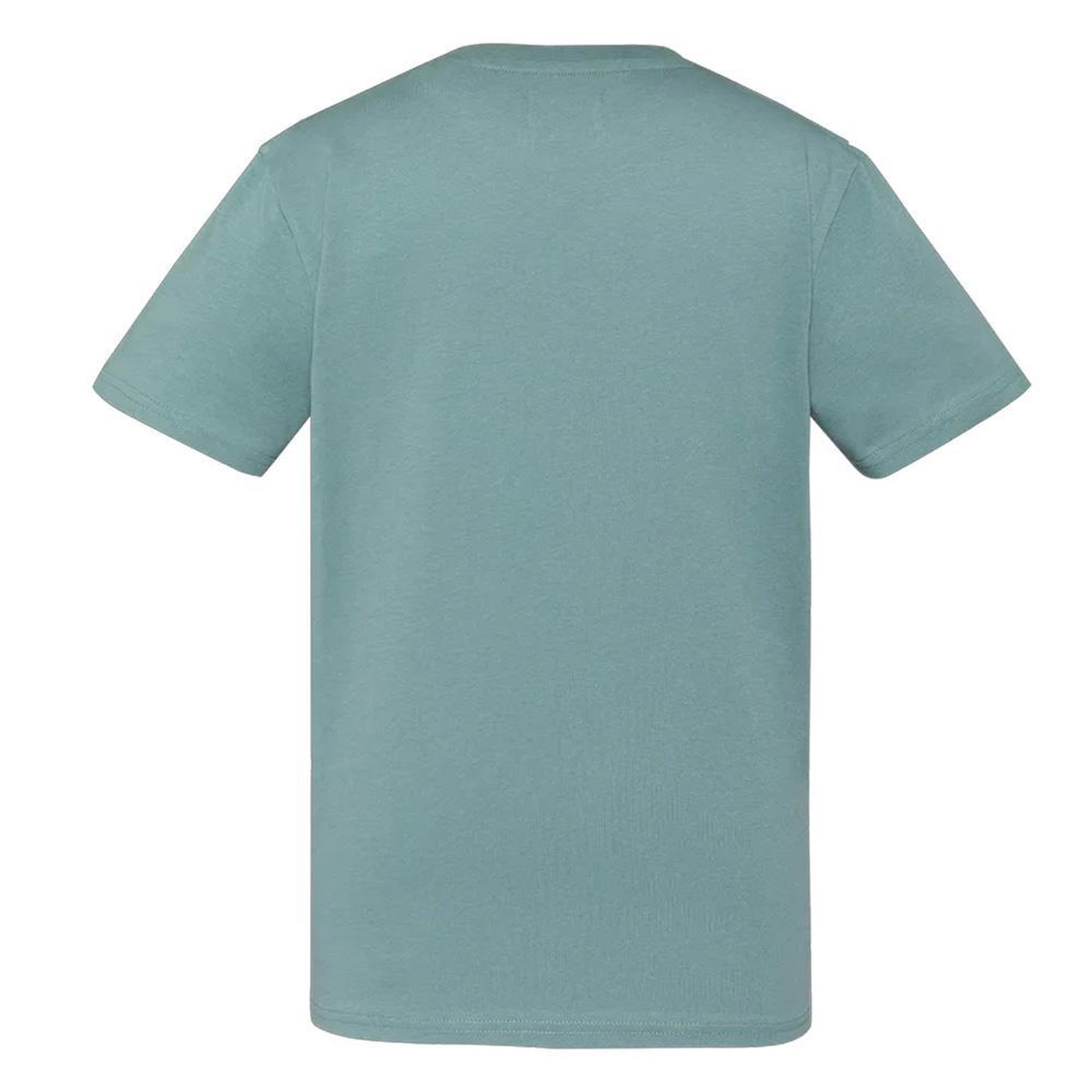 Voir la diapositive 2 : Schott T-Shirt Vert Garçon Schott Print