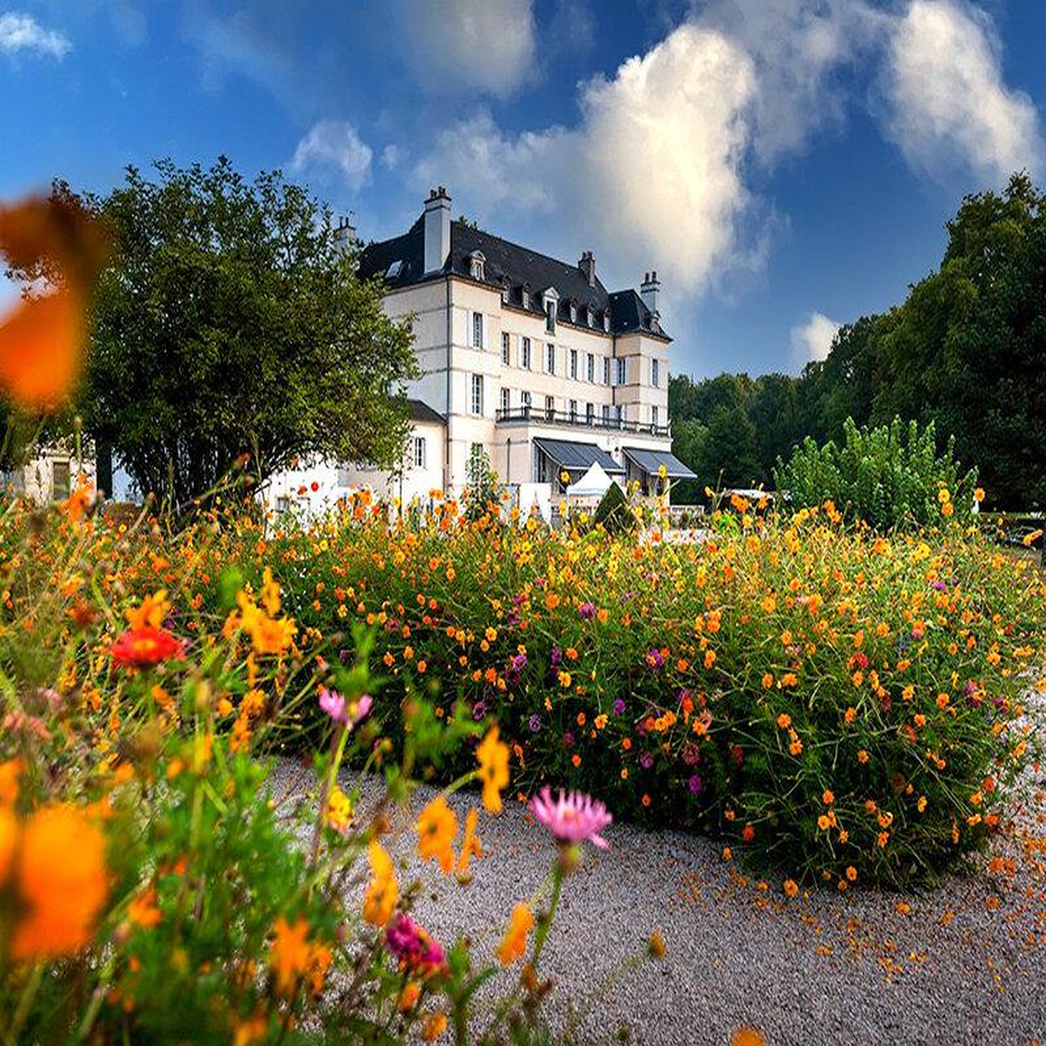 Voir la diapositive 4 : Smartbox Séjour en château 4* aux portes de dijon : 2 jours en suite avec brunch - coffret cadeau séjour