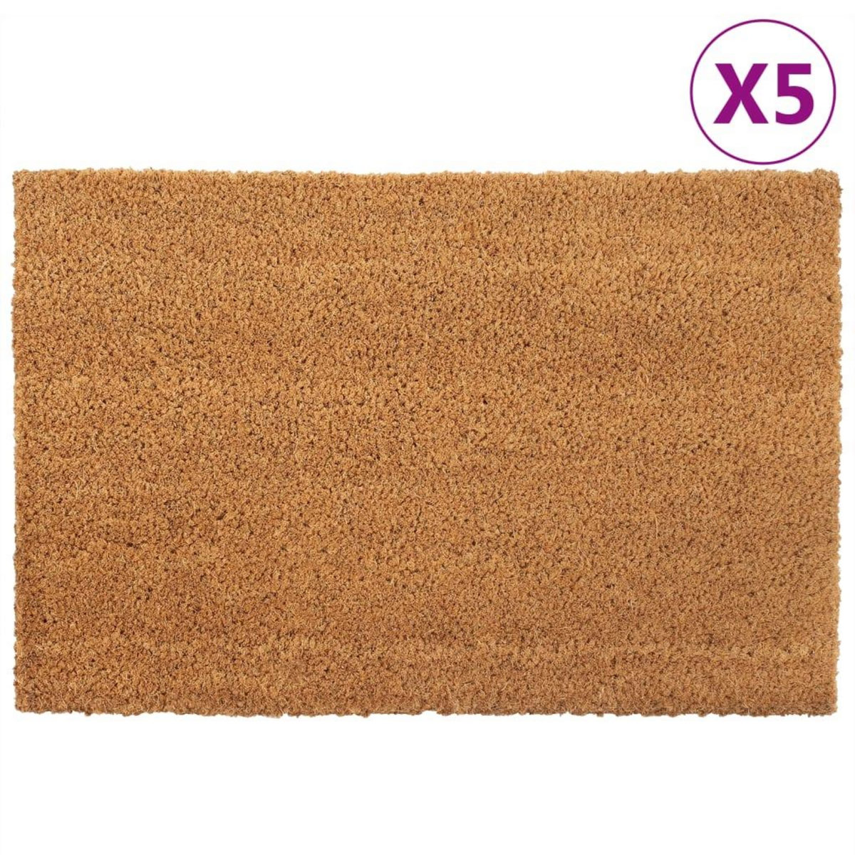 VIDAXL Tapis de porte 5 pcs naturel 40x60 cm fibre de coco touffete