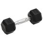 Voir la diapositive 2 : VIDAXL Halteres 2 pcs 10 kg Fonte