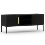 BEST MOBILIER Felicia - meuble tv - noir - 2 portes et 2 niches - 120 cm. Coloris disponibles : Noir