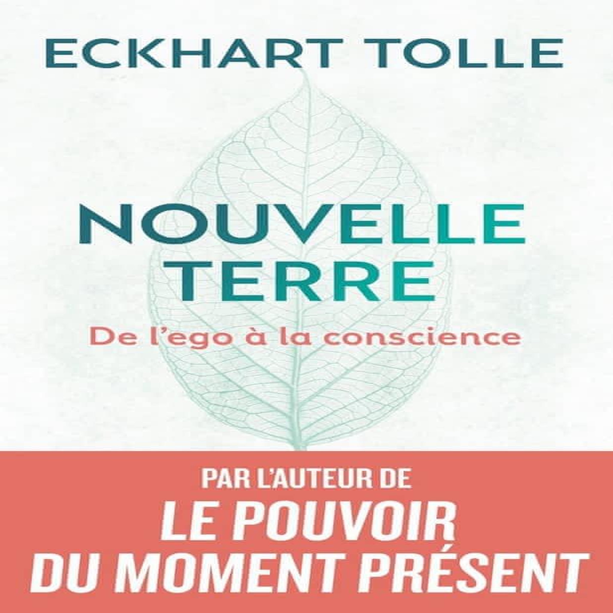 NOUVELLE TERRE. DE L'EGO A LA CONSCIENCE, Tolle Eckhart