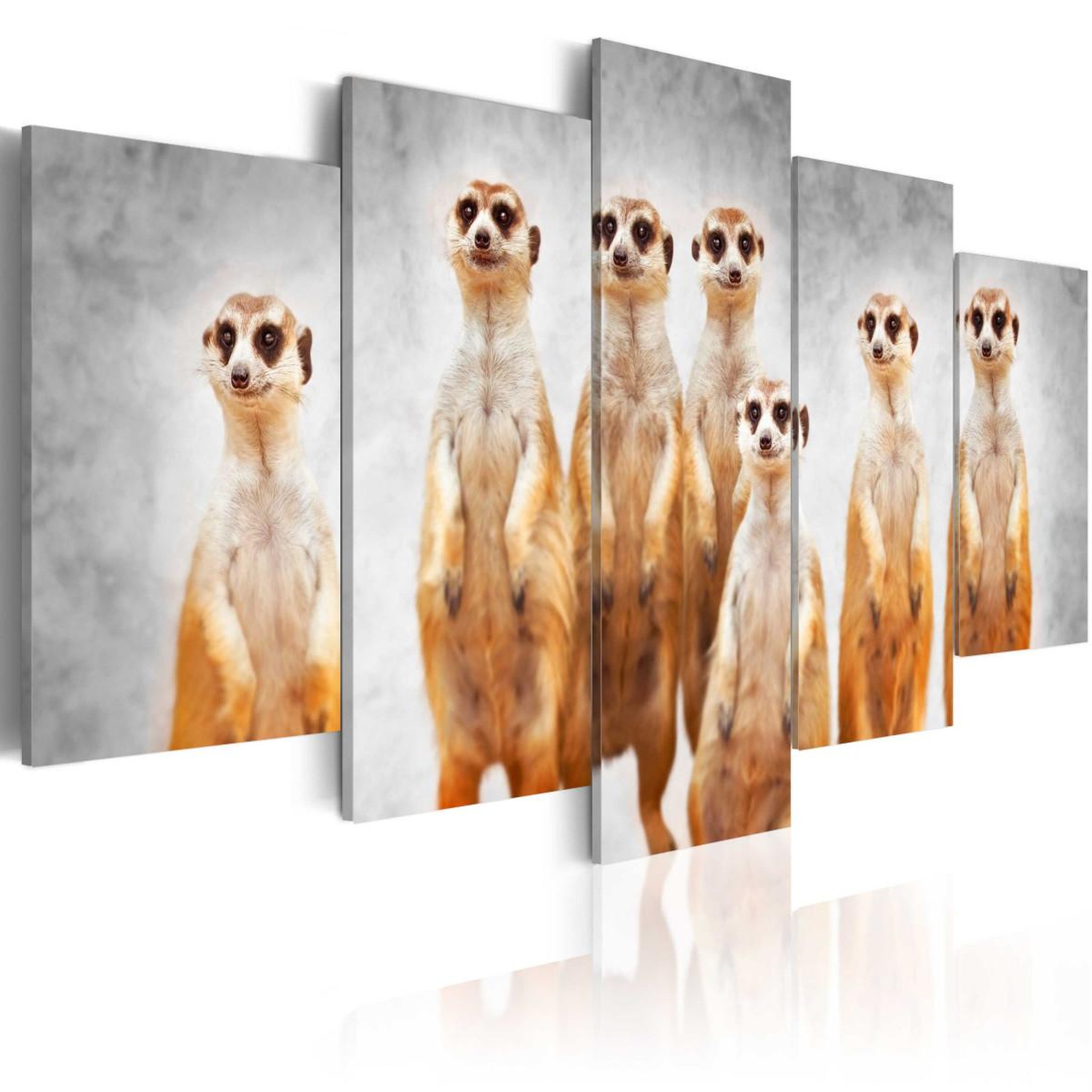 Paris Prix Tableau imprimé  meerkats. Coloris disponibles : Multicolore