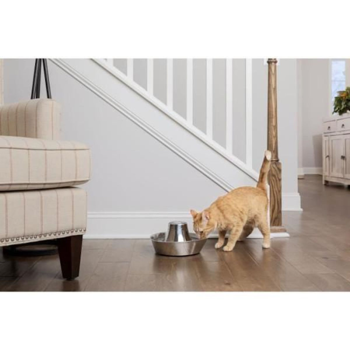 PETSAFE Fontaine pour Animaux - PETSAFE - SEASIDE - Inoxydable - 1,8 L - Silencieuse - Eau filtrée