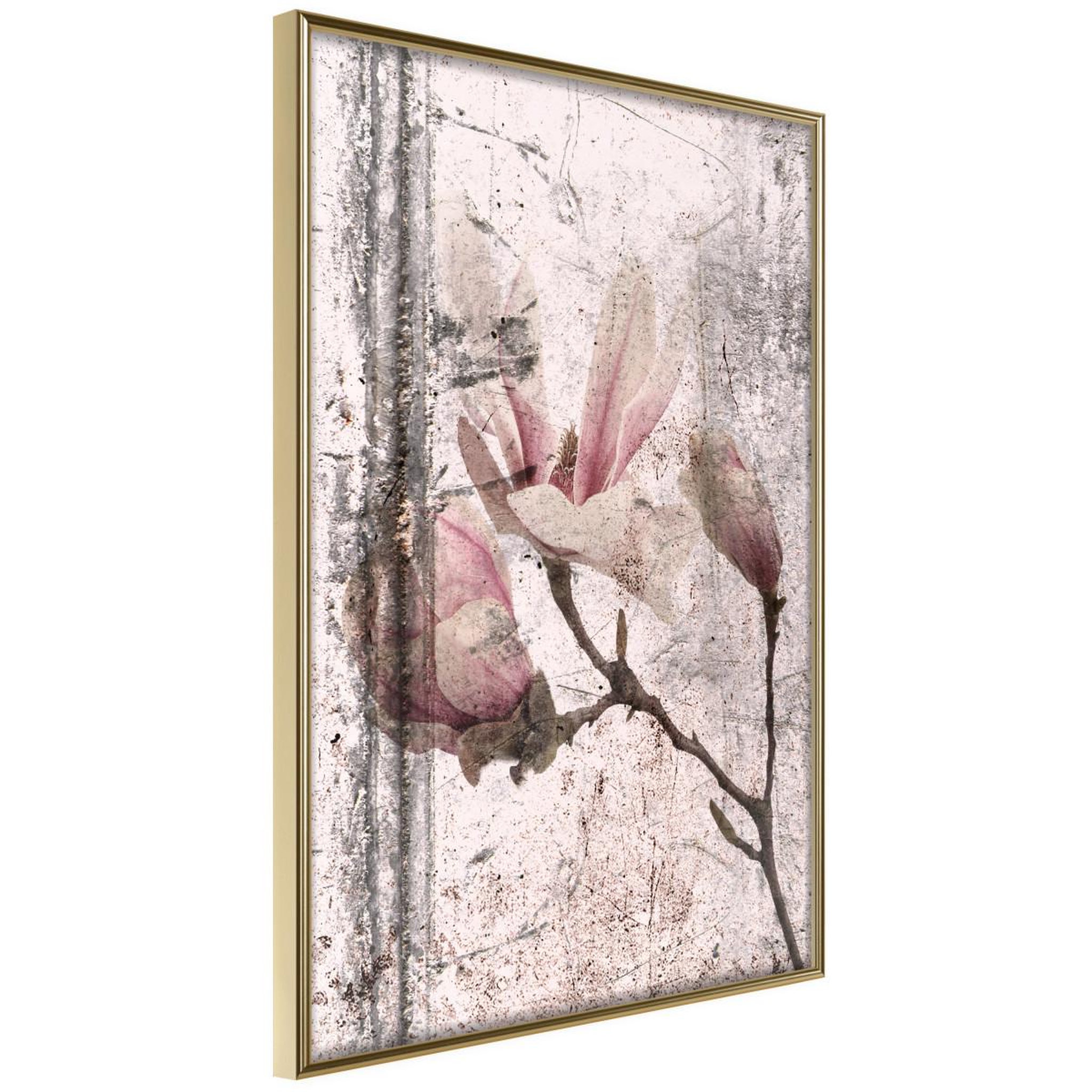 Voir la diapositive 1 : Paris Prix Affiche Murale Encadrée  Queen of Spring Flowers III