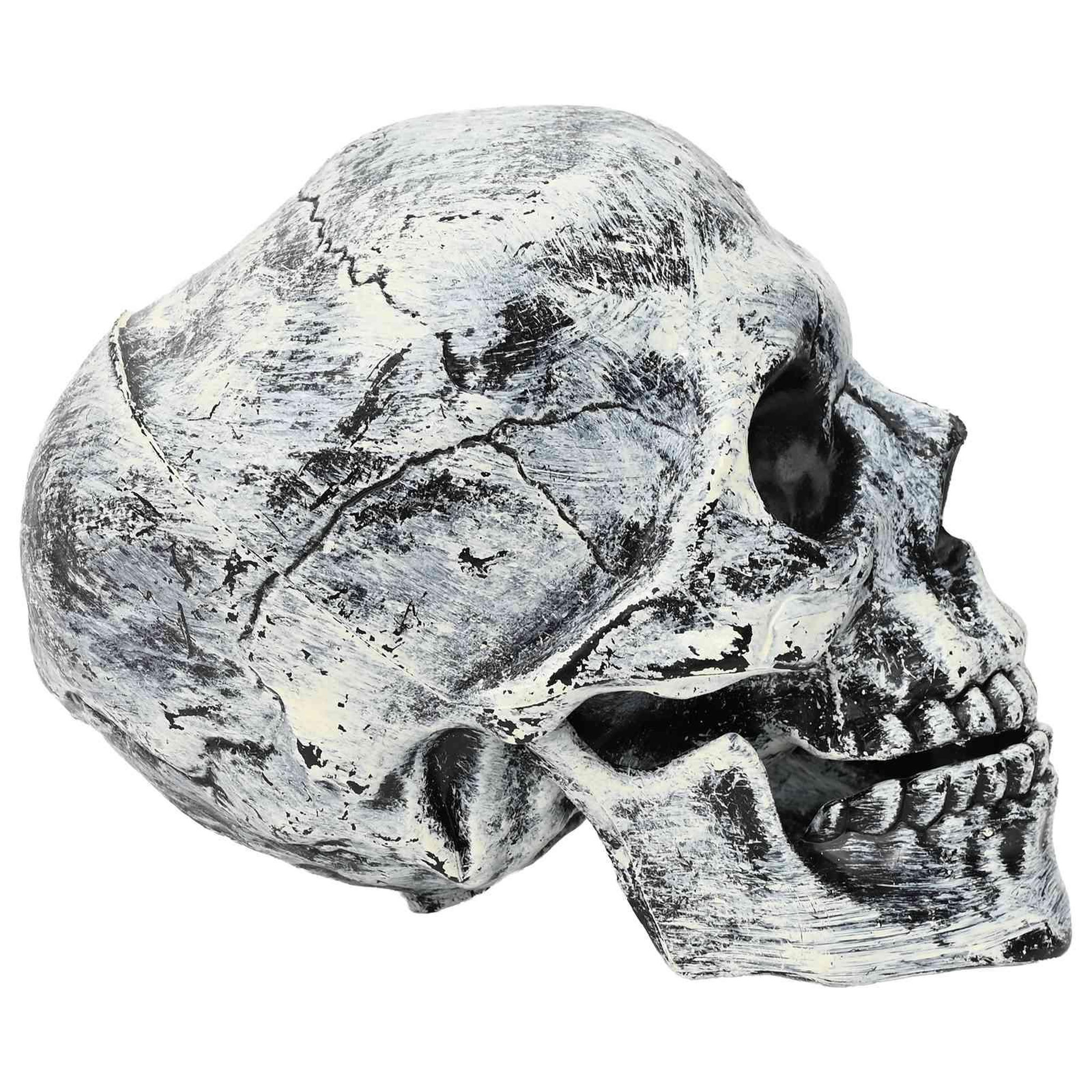 Voir la diapositive 5 : VIDAXL Crane de Halloween SPOOKA 2 pc Blanc 12 x 15 x 17,5 cm