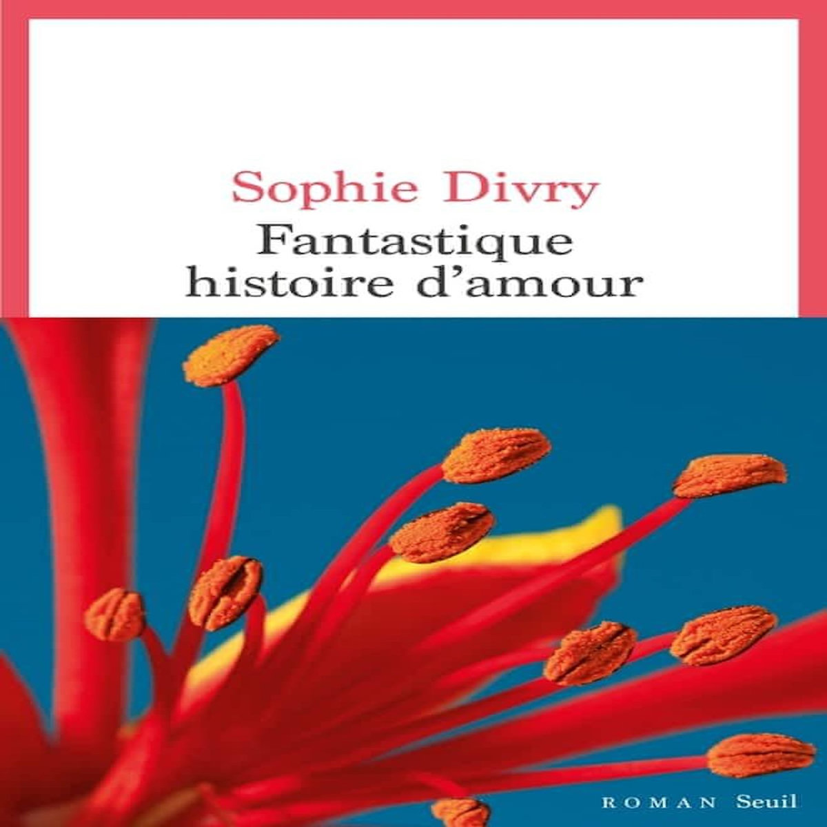 FANTASTIQUE HISTOIRE D'AMOUR, Divry Sophie