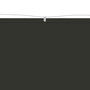 Voir la diapositive 3 : VIDAXL Auvent vertical Anthracite 100x420 cm Tissu oxford