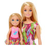 Voir la diapositive 4 : BARBIE Barbie coffret anniversaire Barbie et Chelsea