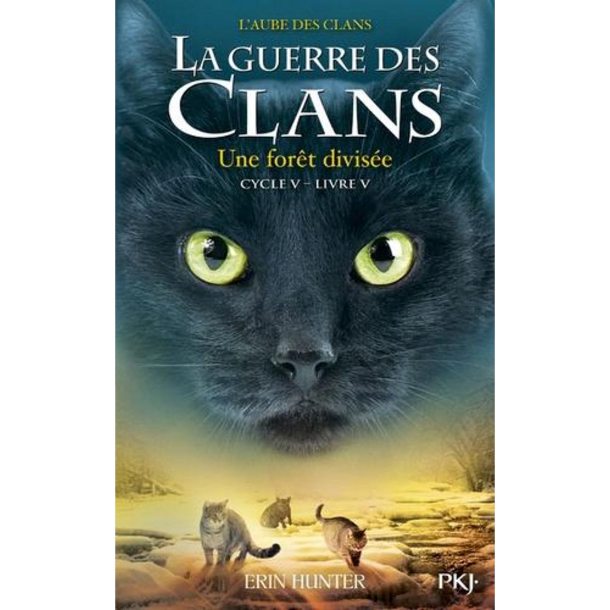 LA GUERRE DES CLANS : L'AUBE DES CLANS (CYCLE V) TOME 5 : LA FORET DIVISEE, Hunter Erin