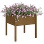 Voir la diapositive 3 : VIDAXL Jardinieres 2 pcs Marron miel 70x70x70 cm Bois de pin massif