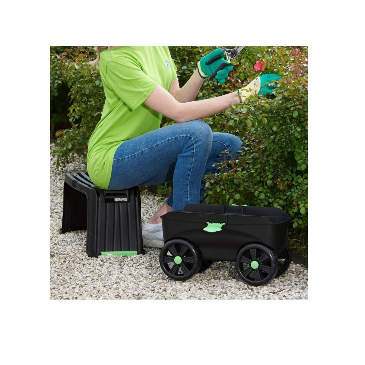 Ribimex Un chariot convertible multi-usage - PRAGENP4R