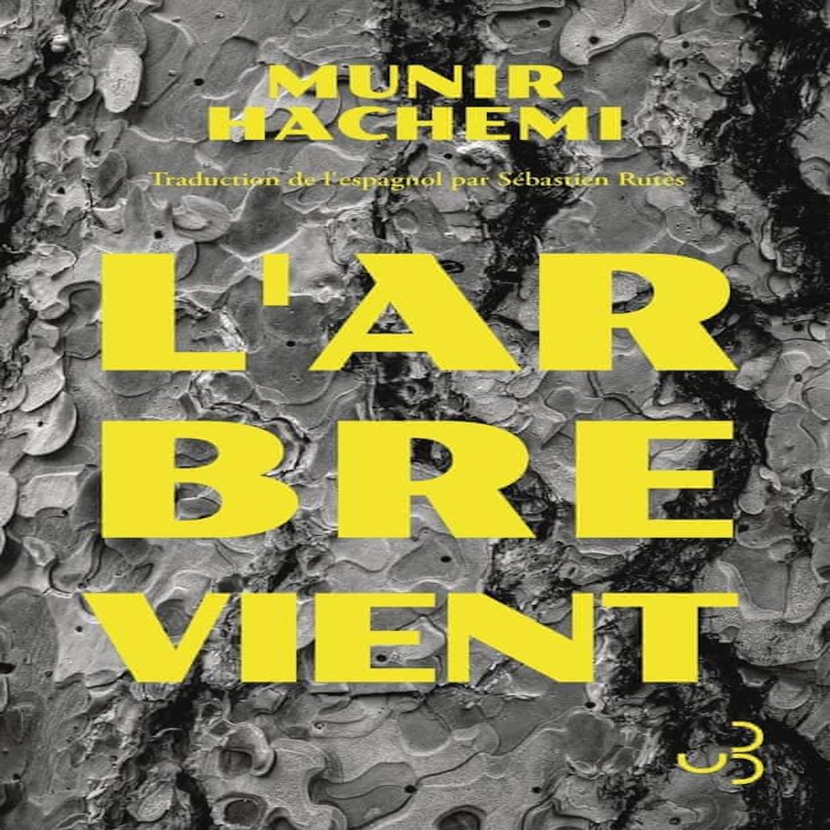L'ARBRE VIENT, Hachemi Munir