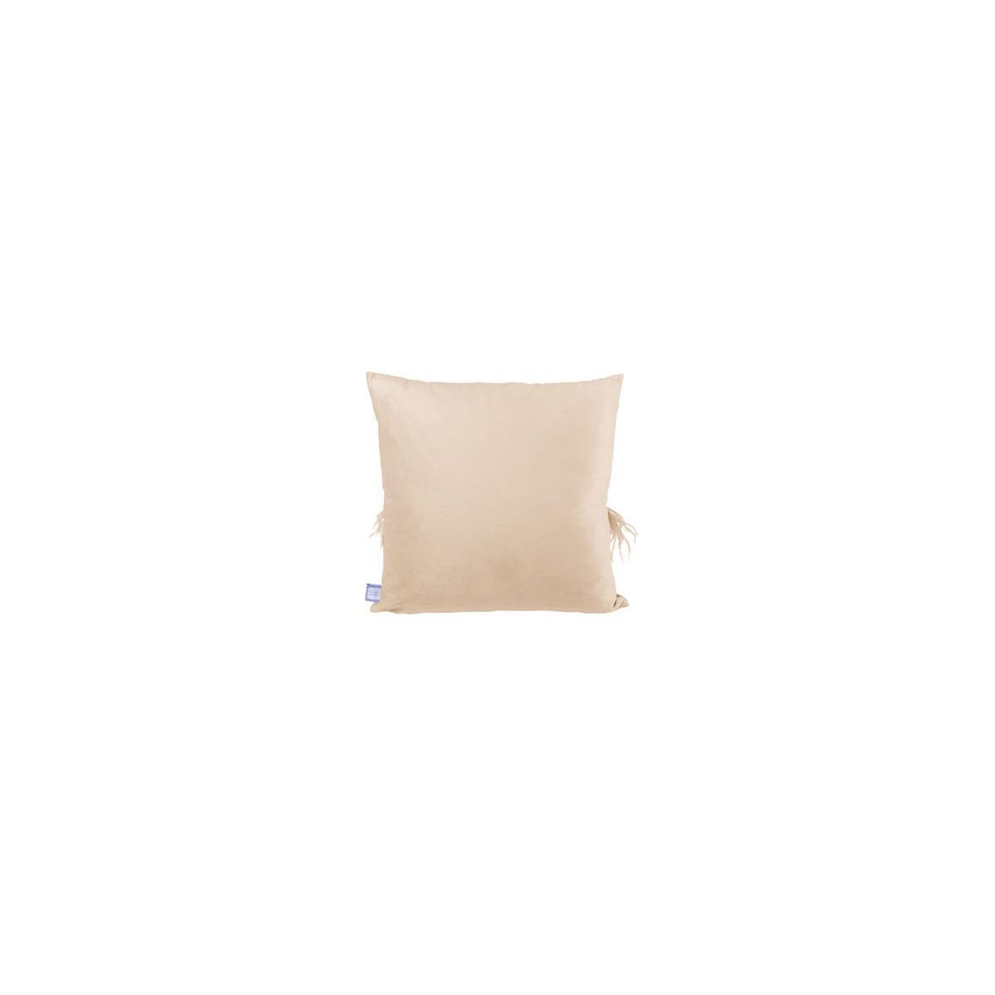 Voir la diapositive 4 : Paris Prix Ensemble Coussin & Plaid  Palmira  130x170cm Champagne