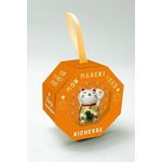 MON MANEKI-NEKO PORTE-BONHEUR RICHESSE. AVEC 1 CHAT PORTE-BONHEUR EN CERAMIQUE, Larousse