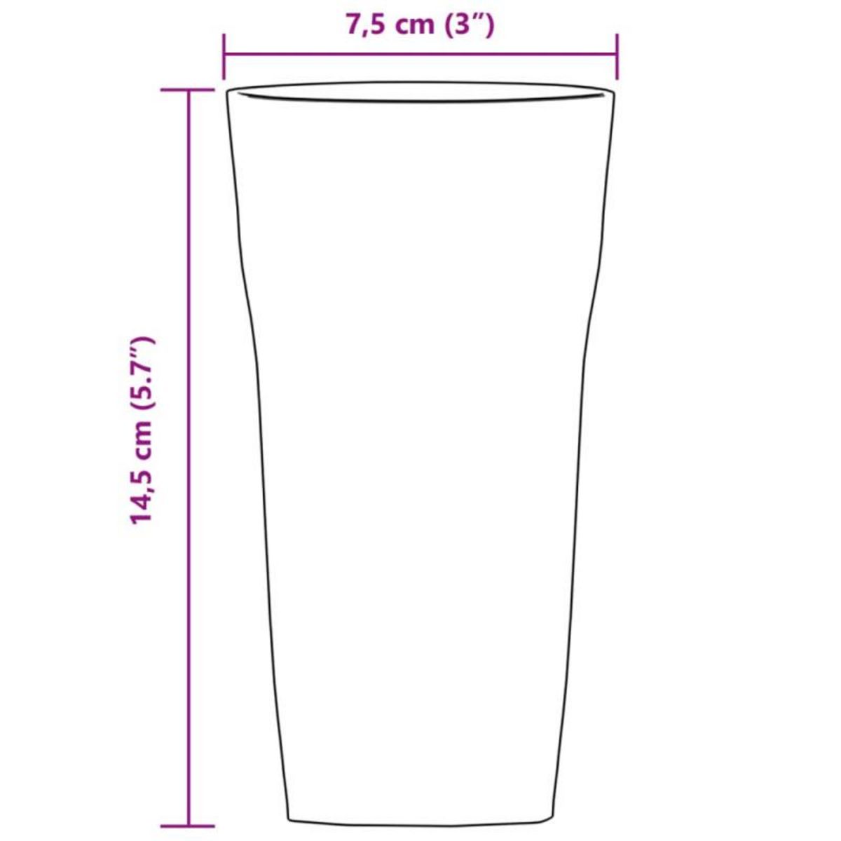 VIDAXL Verres à bière 6 pcs 310 ml