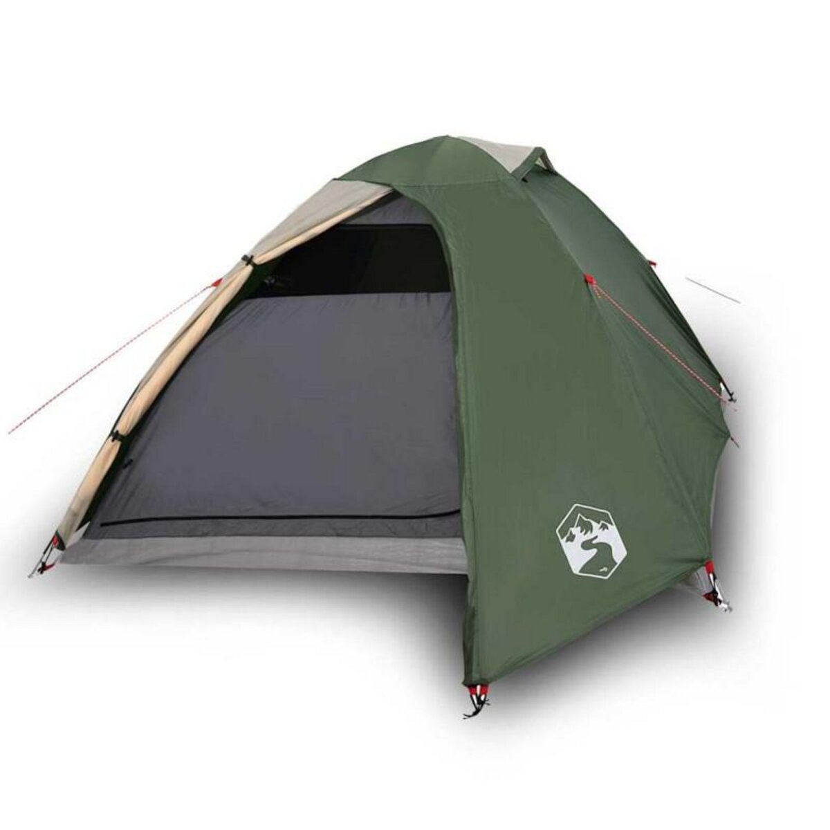 VIDAXL Tente de camping à dôme 2 personne vert imperméable