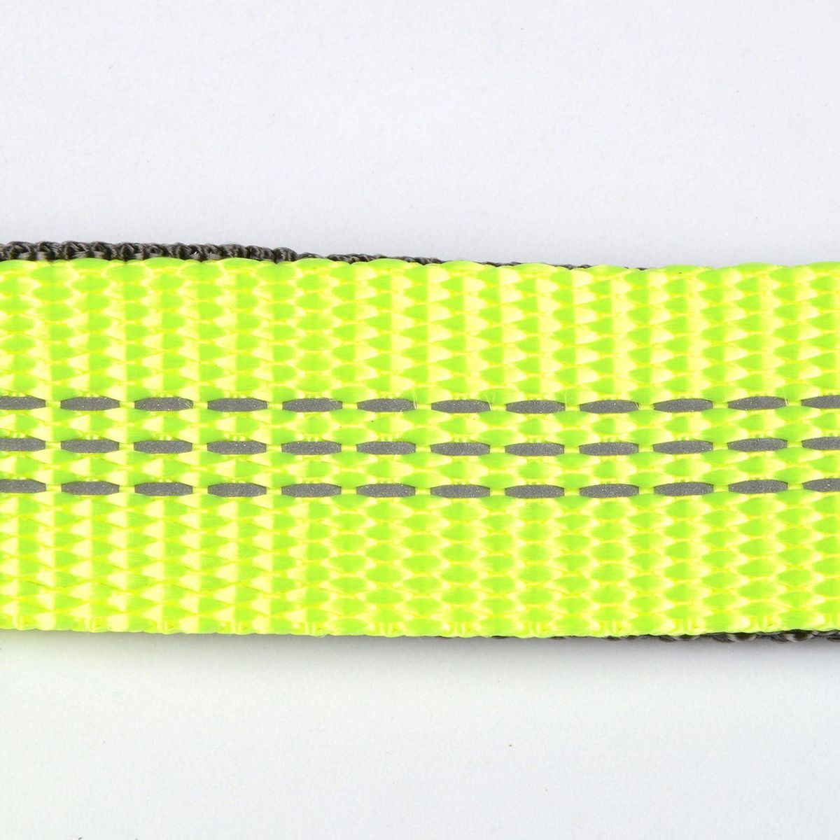 LOVE STORY Laisse main-libre pour le canicross et la canirando