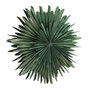 Voir la diapositive 1 : Paris Prix Lampe Suspension Design  Selen  80cm Vert
