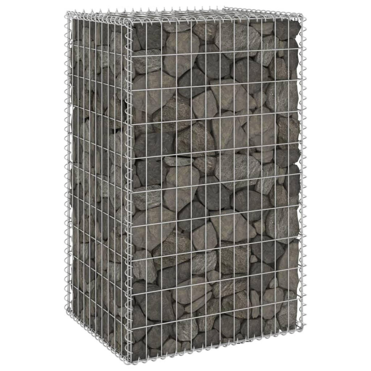 VIDAXL Mur en gabion avec couvercles Acier galvanise 60x50x100 cm