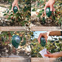 Voir la diapositive 4 : LINXOR Testeur, capteur d'humidité, hygromètre pour plante ou sol