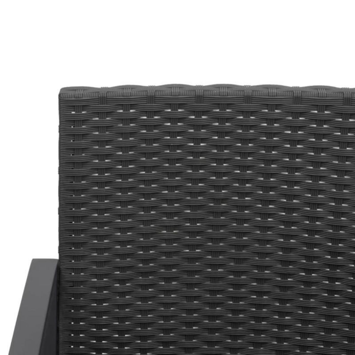 VIDAXL Banc de jardin à 3 places avec coussins noir rotin PP