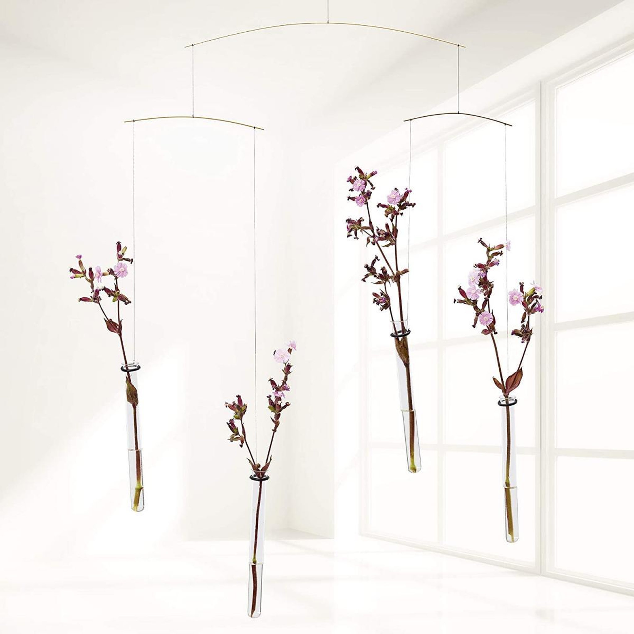 Voir la diapositive 2 : Flensted Flying Flowers