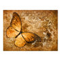 Voir la diapositive 2 : Paris Prix Papier Peint  Butterfly Sepia