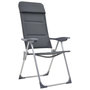 Voir la diapositive 2 : VIDAXL Chaise de camping lot de 2 Gris 58x69x111 cm Aluminium