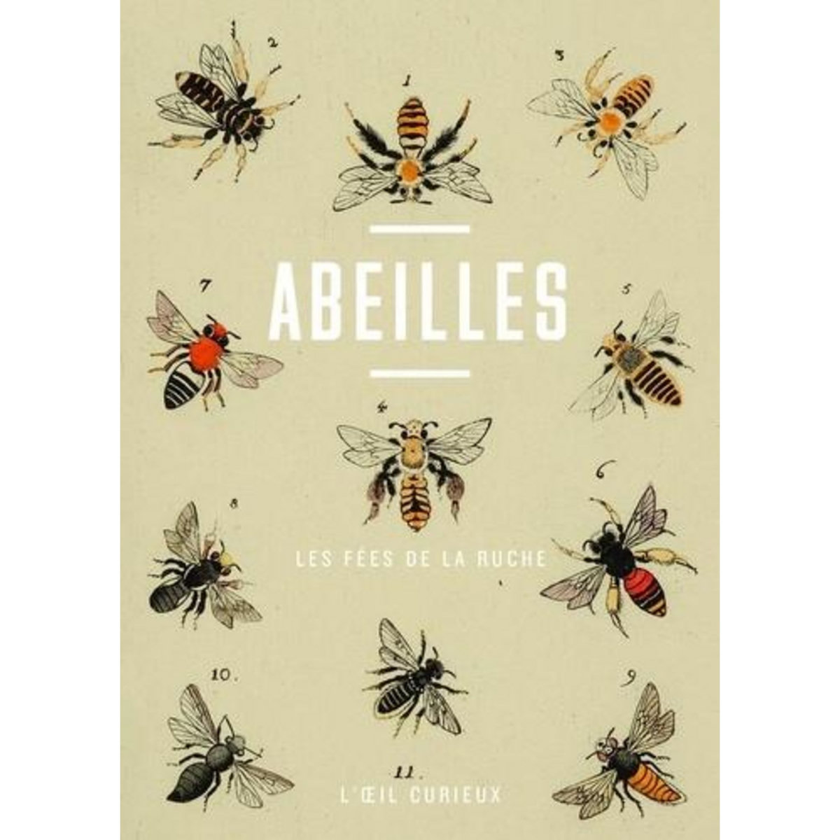 ABEILLES. LES FEES DE LA RUCHE, Baratta Yveline