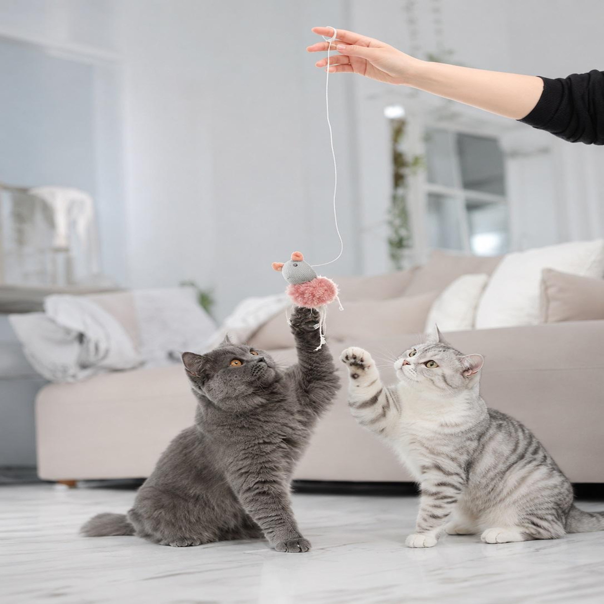 Voir la diapositive 2 : Eden Jouet suspendu gripi souris avec catnip peluche pour chat
