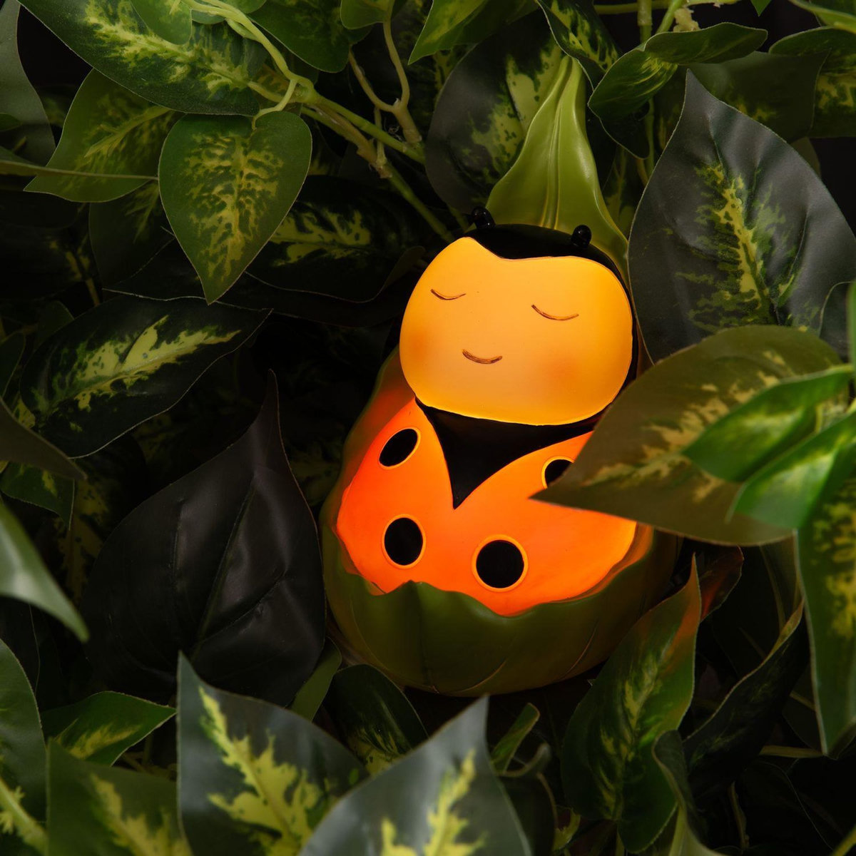 Amadeus Petite lampe veilleuse Coccinelle