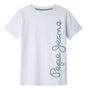 Voir la diapositive 1 : Pepe Jeans T shirt  Garçon Pepe Jeans Waldo