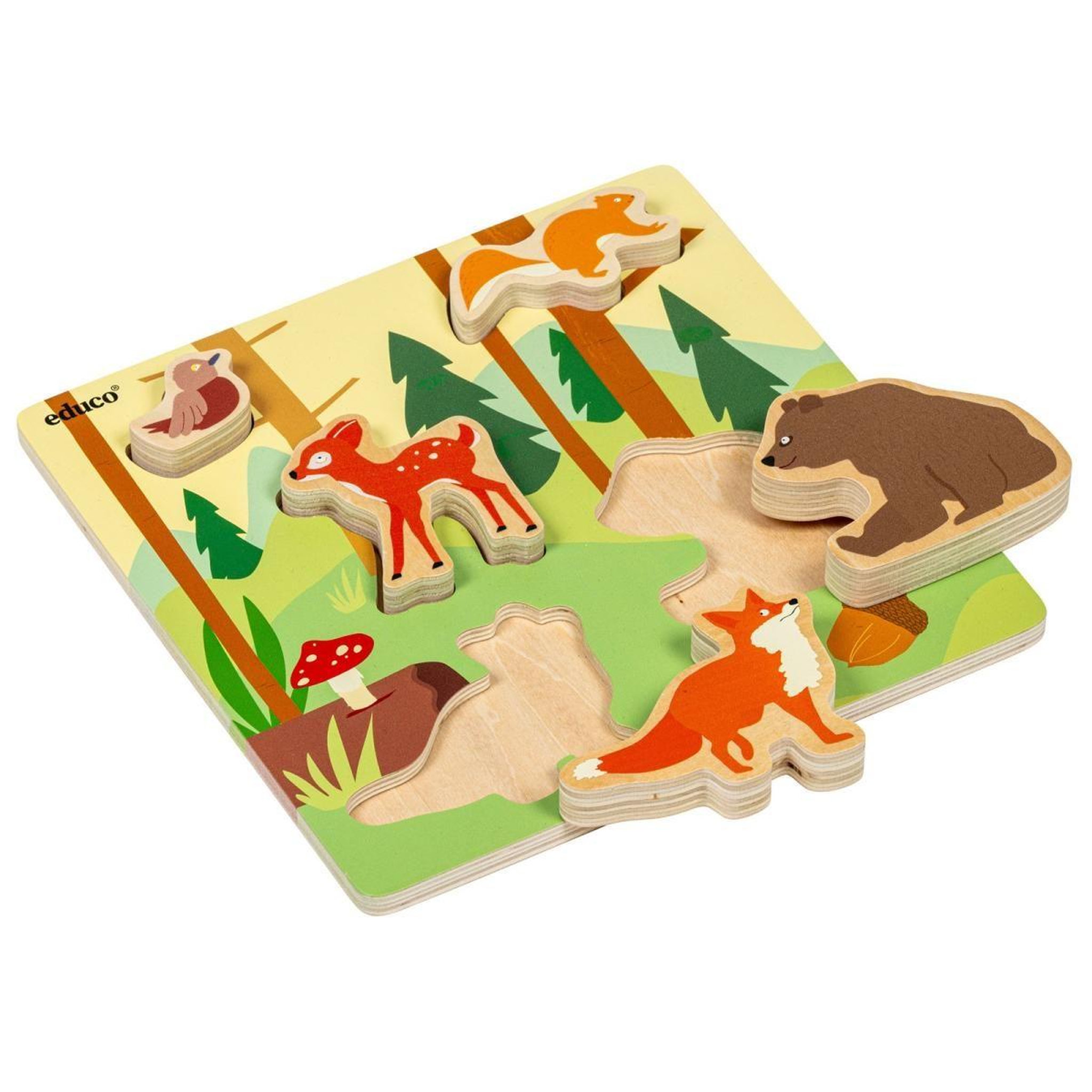 EDUCO Amis des Animaux - la Forêt