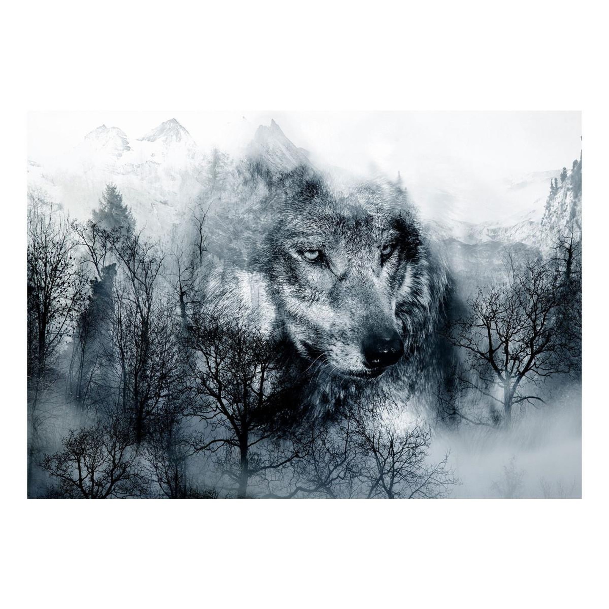 Voir la diapositive 2 : Paris Prix Papier peint  mountain predator black & white