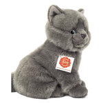 TEDDY BEAR Peluche chat chartreuse assis 20cm