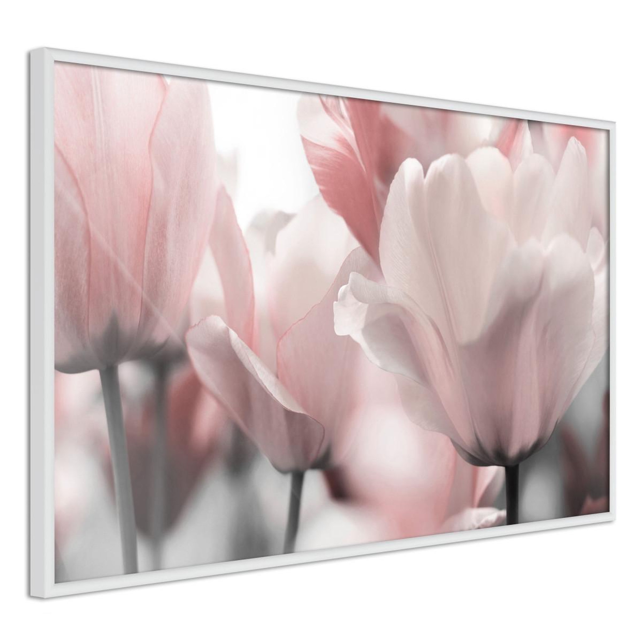 Paris Prix Affiche Murale Encadrée  Pastel Tulips II