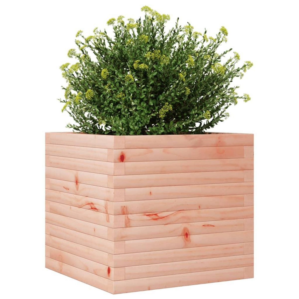 VIDAXL Jardiniere 50x50x46 cm bois massif douglas