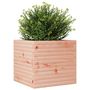 Voir la diapositive 4 : VIDAXL Jardiniere 50x50x46 cm bois massif douglas