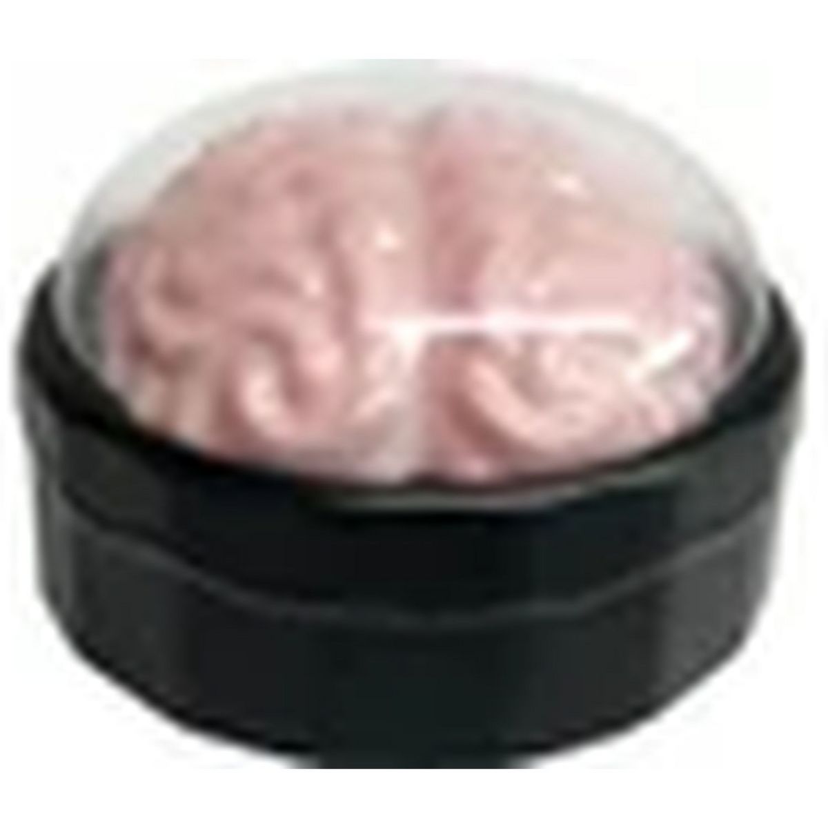 BEST OF TV Crazy creations - Le coffret cerveau