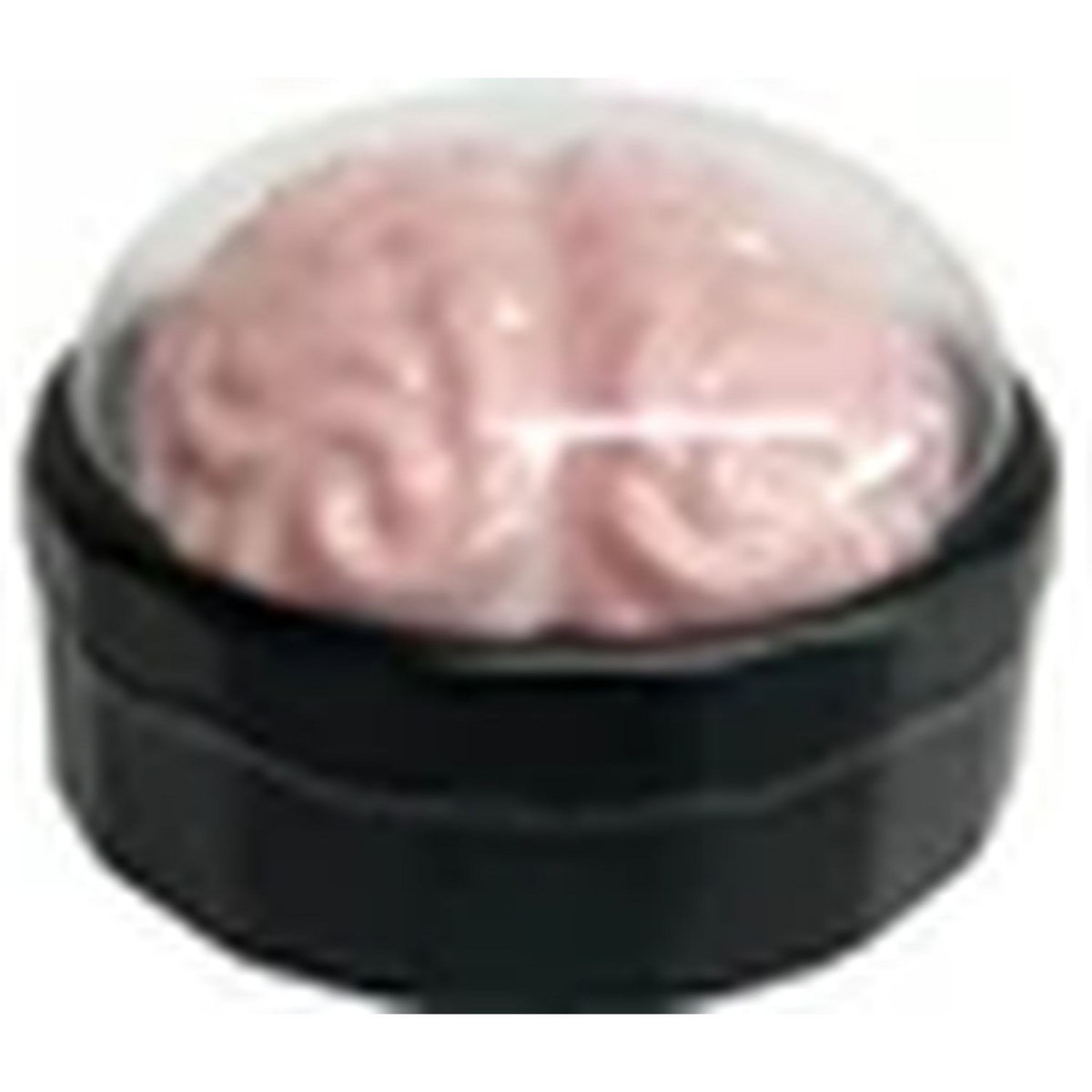 BEST OF TV Crazy creations - Le coffret cerveau