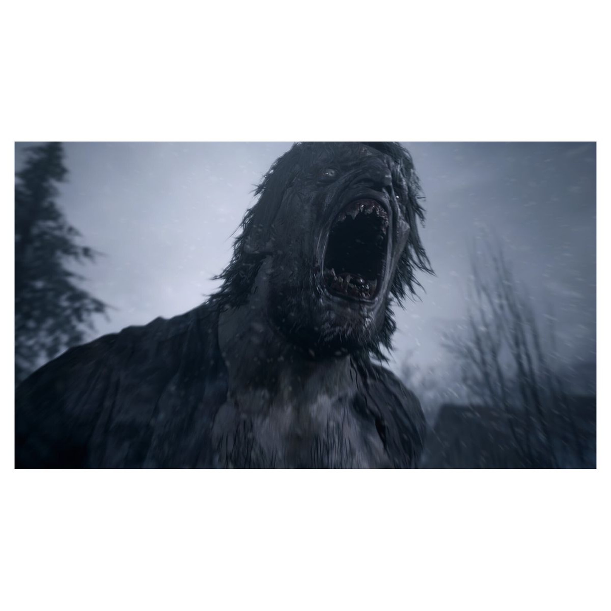 Voir la diapositive 2 : Capcom Resident Evil Village PS5