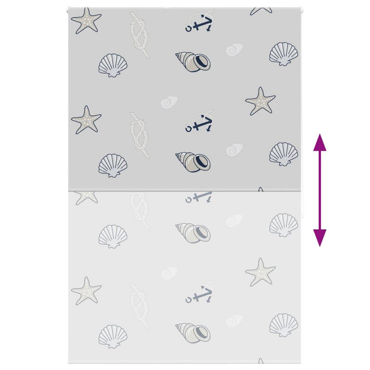 VIDAXL Store enrouleur de douche 150x240 cm largeur du tissu 146 cm