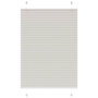 Voir la diapositive 1 : VIDAXL Store plisse gris clair 100x150 cm largeur du tissu 99,4cm